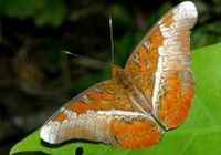 Travelers with Cuc Phuong National Park tour